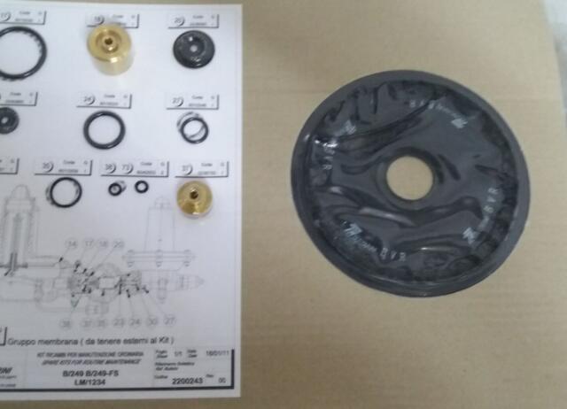 TARTARINIB249AP切断型，塔塔里尼B249减压阀，B249AP调压阀备件包